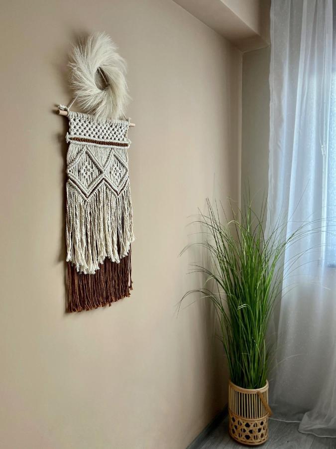 Boholand Apartment ブラショフ エクステリア 写真